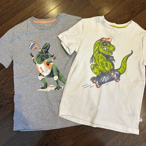Summer Dinosaur T Shirts